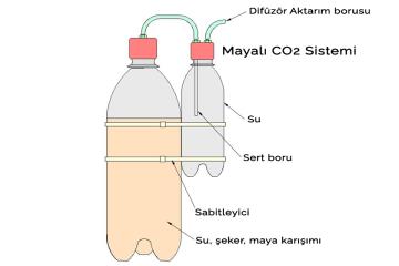 Akvaryumlarda Mayalı Sistem Kurulumu - Bitkiler İçin CO2 Üretimi